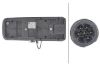 Tail Light Assembly -
