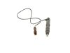 Nozzle and Holder Assembly -