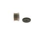 Alternator Freewheel Clutch -