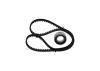 Timing Belt Kit -