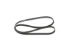 V-Ribbed Belt VAG - 03C 260 849 A - 6PK1698