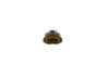 Plug Housing -
