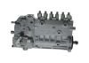 lnjection Pump -