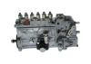 lnjection Pump -