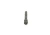 Nozzle and Holder Assembly -