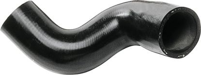 Radiator Hose -