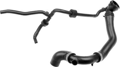 Radiator Hose -