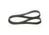 V-Ribbed Belt -