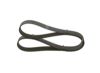 V-Ribbed Belt -