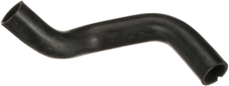Radiator Hose -