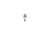 Spark Plug -