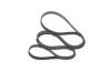 V-Ribbed Belt -