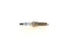 Spark Plug -