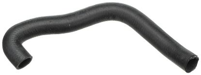 Radiator Hose -