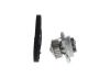 Water Pump & Timing Belt Kit -