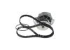 Water Pump & Timing Belt Kit -