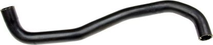 Radiator Hose -