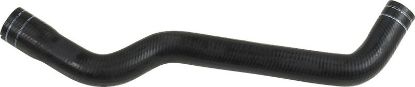 Radiator Hose -