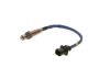 Oxygen Sensor -