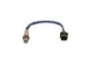 Oxygen Sensor -