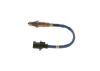 Oxygen Sensor -