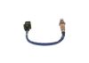 Oxygen Sensor -
