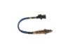 Oxygen Sensor -