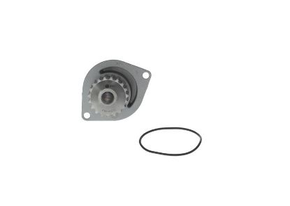 Water Pump & Timing Belt Kit -