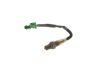 Oxygen Sensor -