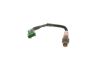 Oxygen Sensor -