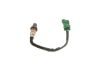 Oxygen Sensor -
