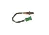 Oxygen Sensor -