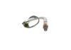 Oxygen Sensor -