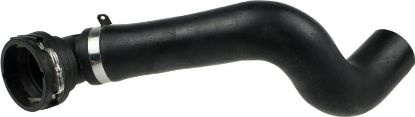 Radiator Hose - Radiator Hose -