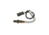 Oxygen Sensor -