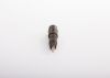 Nozzle and Holder Assembly -
