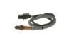 Oxygen Sensor -