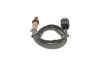Oxygen Sensor -