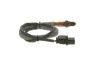 Oxygen Sensor -