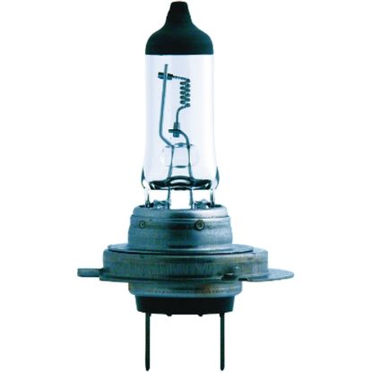 Bulb, spotlight H7 MasterDuty BlueVision 2tk