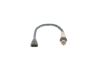 Oxygen Sensor -