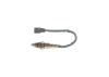 Oxygen Sensor -