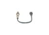Oxygen Sensor -
