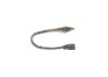 Oxygen Sensor -