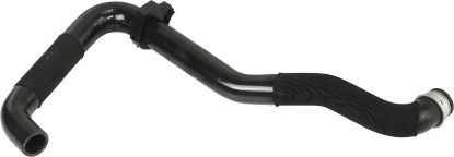 Radiator Hose -