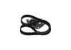 Timing Belt Kit -