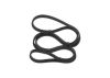 V-Ribbed Belt BMW - 11 28 7 800 345 - 6DPK1817