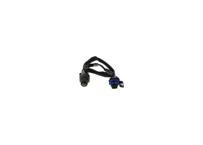 Oxygen Sensor -