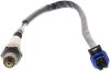Oxygen Sensor -