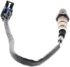 Oxygen Sensor -